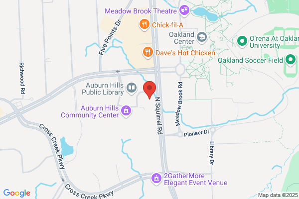 Auburn Hills City of, Clerk