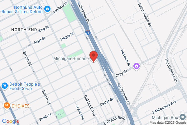 Michigan Humane Society, Detroit