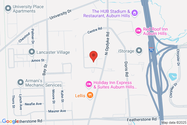Mold Experts Of Michigan