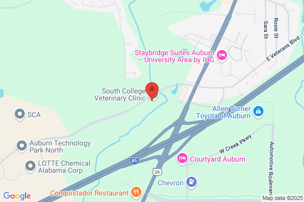 PetVet Animal Hospital