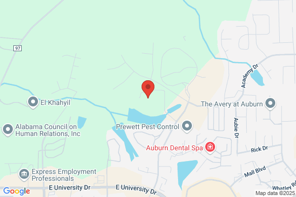 Arbors at Meadowbrook