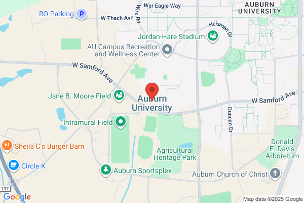 Auburn University, Auburn Plainsman