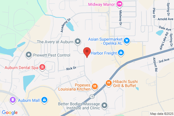 East Alabama Svc-The Elderly