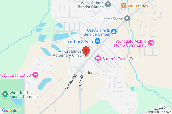 Bond, Kim James DVM - All Creatures Veterinary Clnc