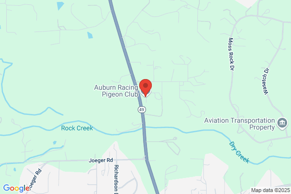 Auburn Racing Pigeon Club