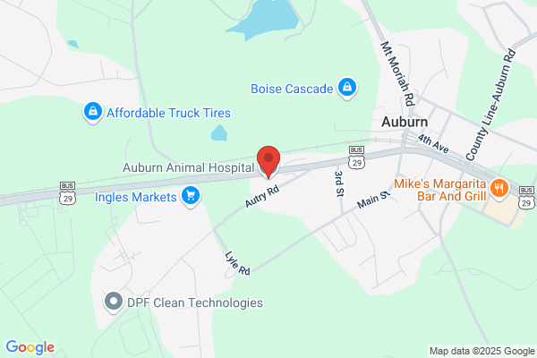 Auburn Animal Hospital