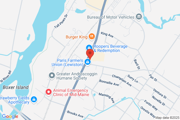 Boulet Chiropractic & Wellness