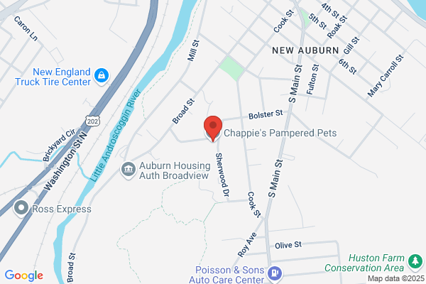 Chappie's Pampered Pets Grooming Salon