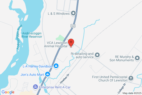 Lewiston Vet Hospital