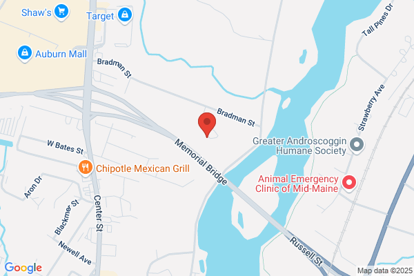 Temple Shalom Nursery School