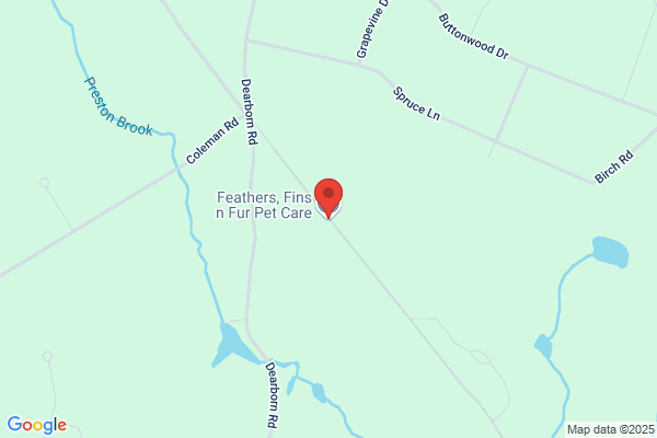 Doggy Hut the