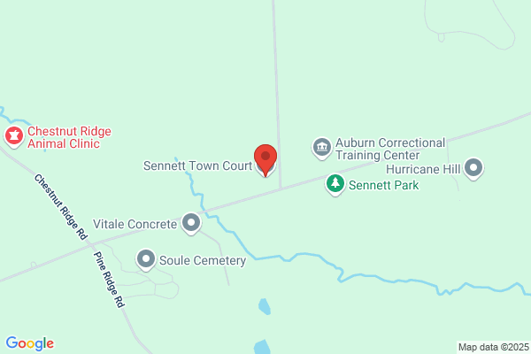 Sennett Town of, Town Clerk