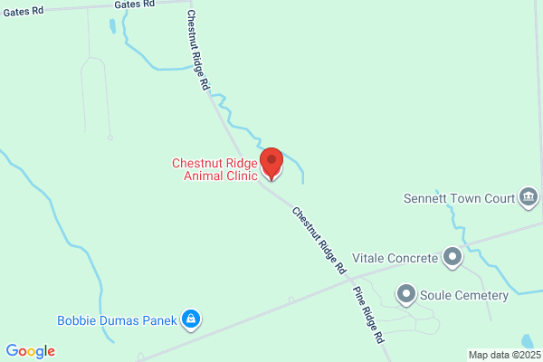 Chestnut Ridge Animal Hospital
