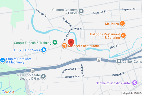 Finger Lakes Press Inc