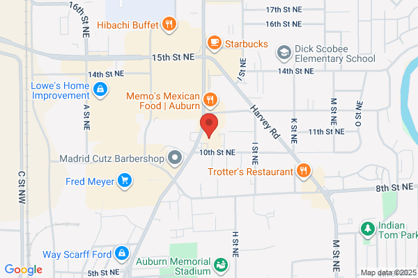 AutoZone Auto Parts