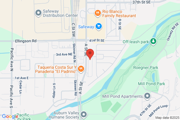 AutoZone Auto Parts