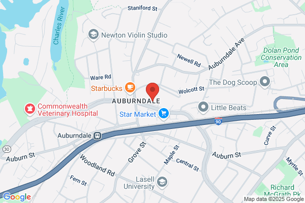 Acupuncture Associates Inc