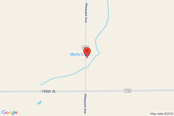 Mollys