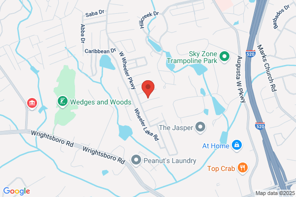 Augusta Pro Tree Services