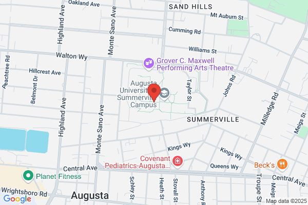 Storyland Theatre Inc