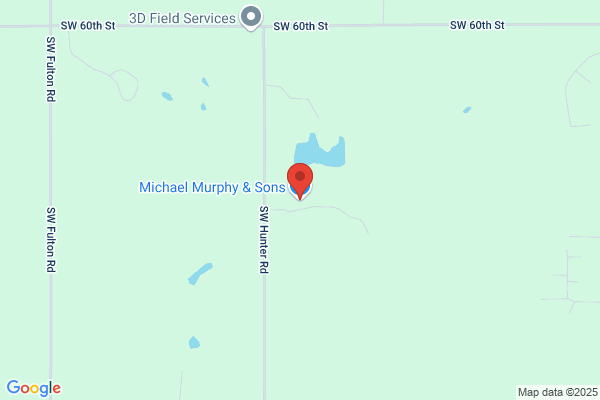 Michael Murphy & Sons