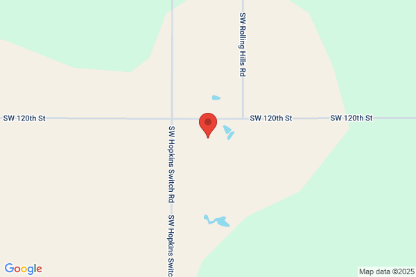 Simmons Lewis Cos Inc