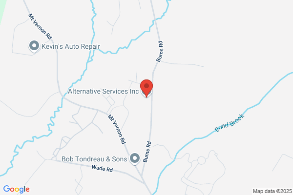 Alternative Services Inc
