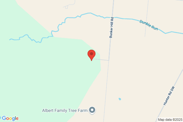 Alberts Tree Farm