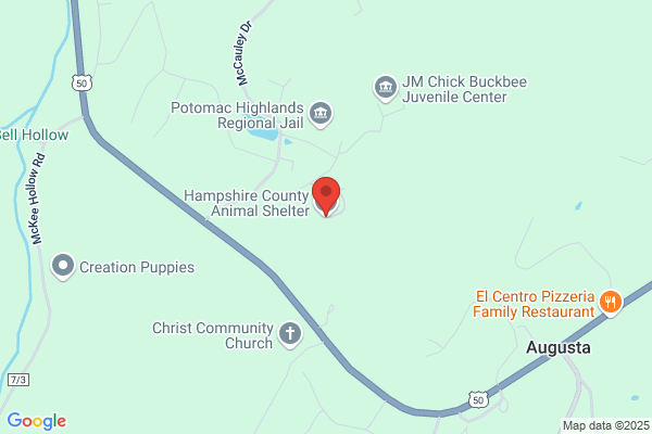 Animal Shelter of Hampshire County