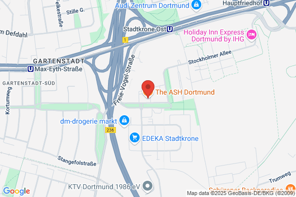 Ash Rides