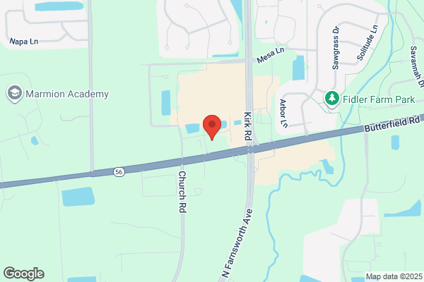 Advance Auto Parts
