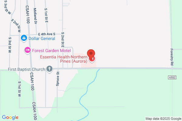 Northern Minnesota Services