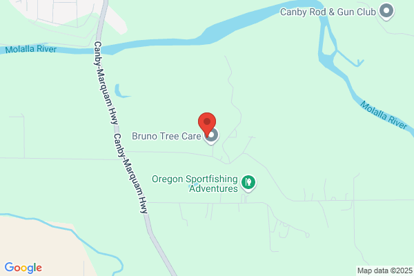 Bruno Tree Care
