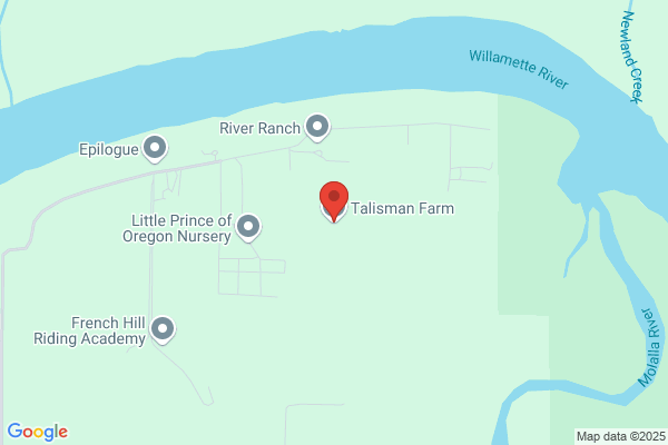 Continental Farms & Stables