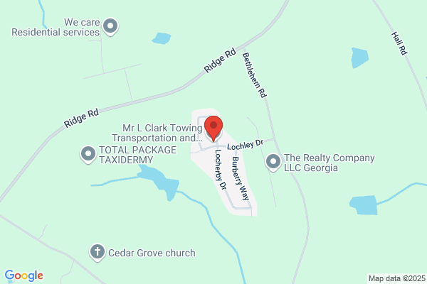 Mr. L Clark Towing Transportation And Recovery