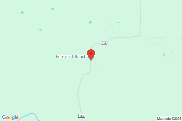Forever T Ranch LLC