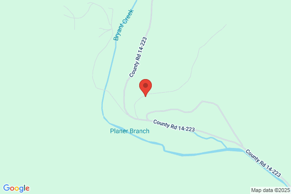 Cactus Canyon Campground