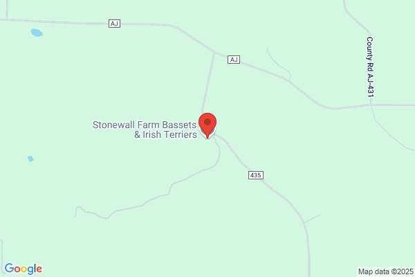 Stonewall Farm Bassets & Irish Terriers