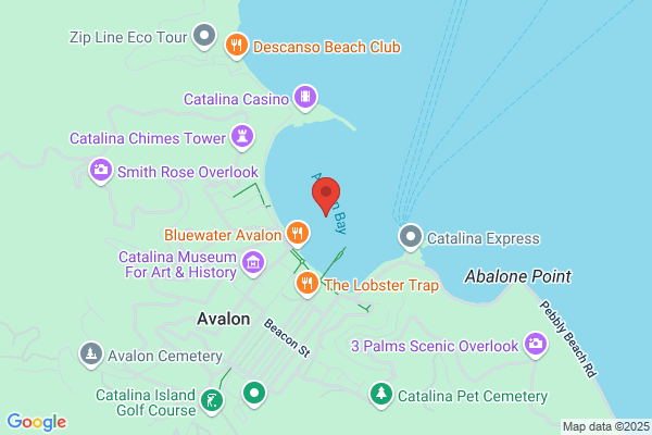 Avalon Bay News