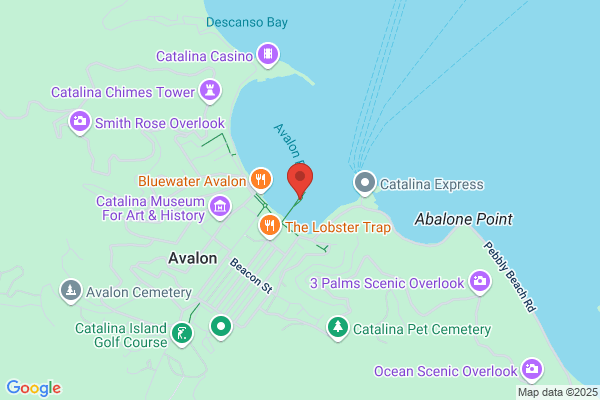 Avalon Marine Dock