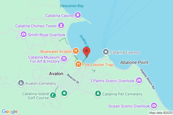 Avalon Seafood & Fish Market Rosies