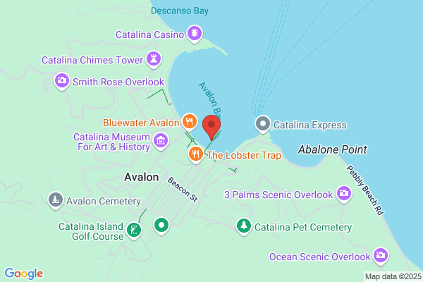 Catalina Adventure Tours