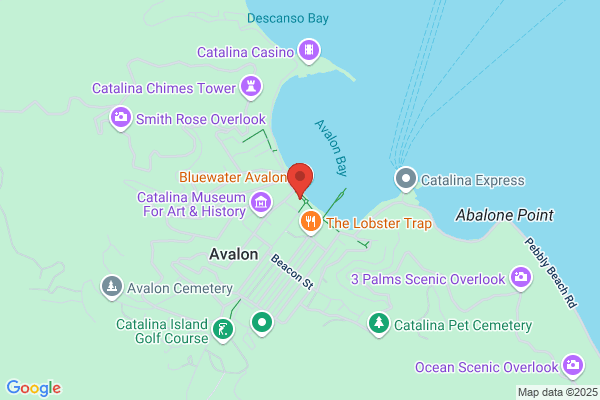Catalina Cantina
