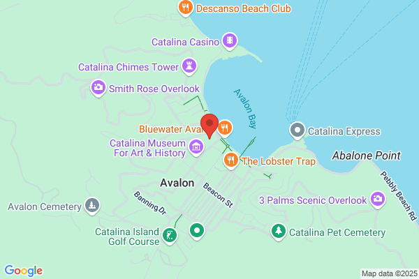 Catalina Gold Company