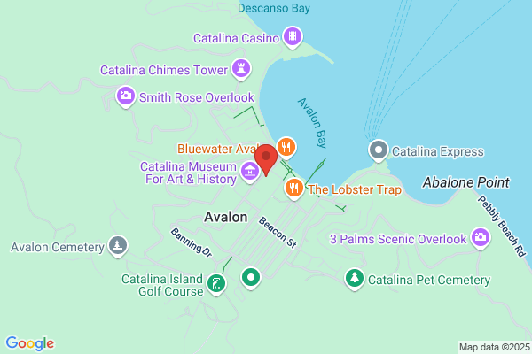 Catalina Meeting Specialists