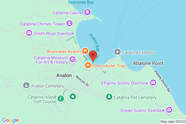 Catalina Sailing