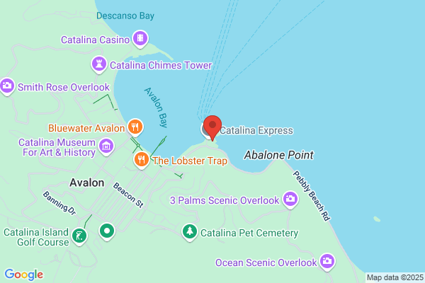 Catalina Transfer