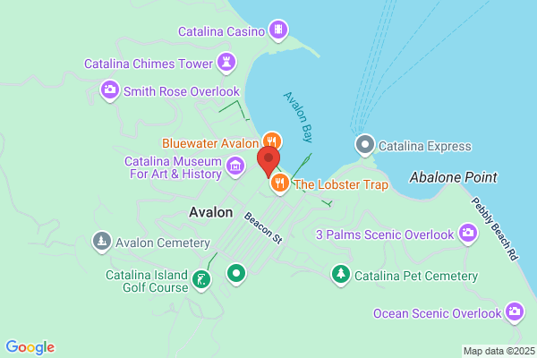 Island Toys