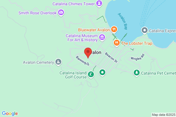 Tremont Street Apartments