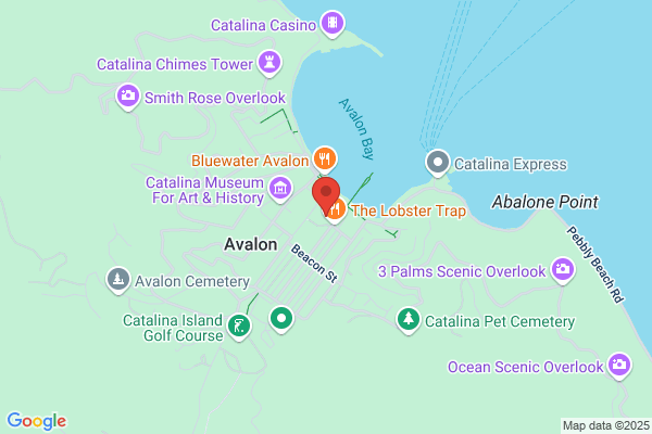 Zims of Catalina